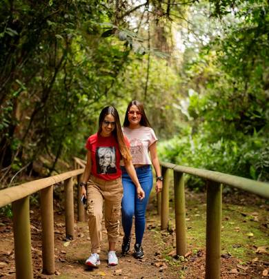 Galería Club HCR Villasol - Cartago