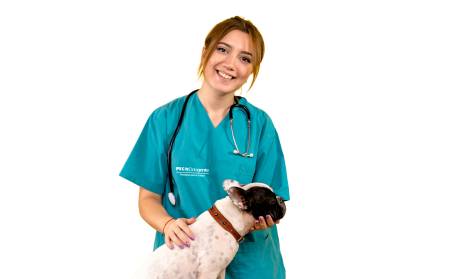 Técnico Laboral en Asistencia en Veterinaria